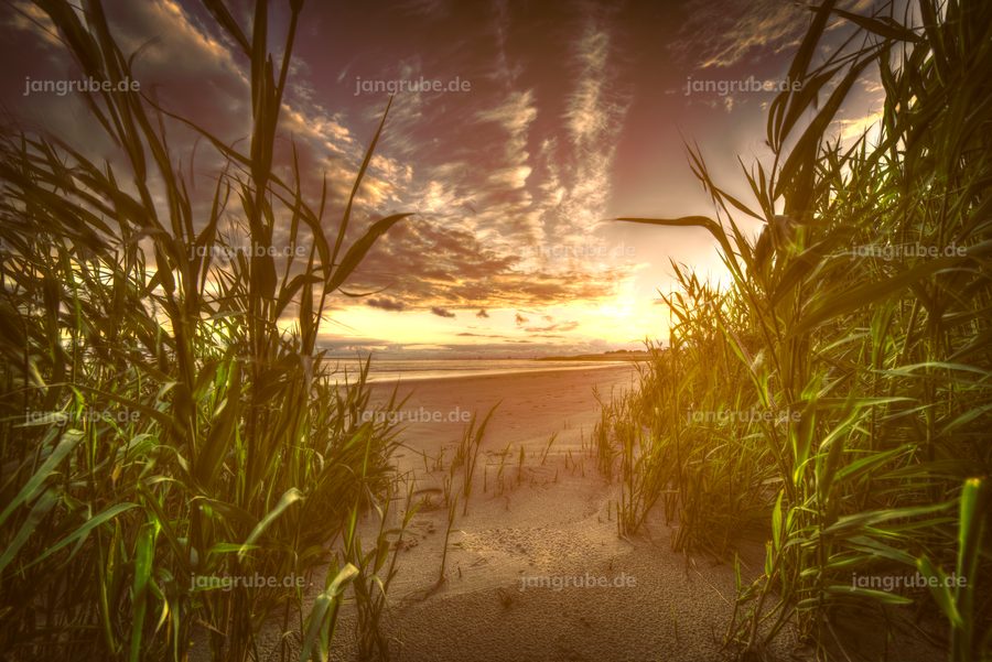 Wandbild Brokdorf Coffee Beach (Elbe) – Fotografie von Jan Grube als Leinwand, Acrylglas oder Poster