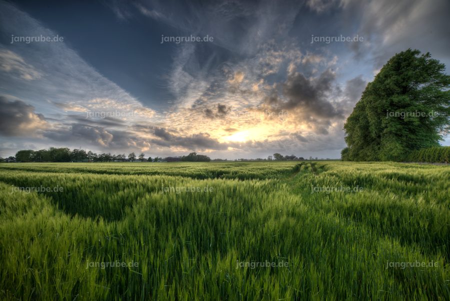 Wandbild Glückstädter Ruhe (Glückstadt) – Fotografie von Jan Grube als Leinwand, Acrylglas oder Poster