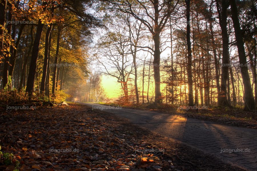 Wandbild Herbstschein – Fotografie von Jan Grube als Leinwand, Acrylglas oder Poster